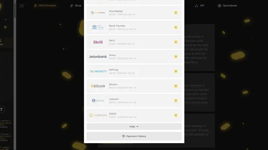 Full list of ZetCasino banking options including Bitcoin and Litecoin